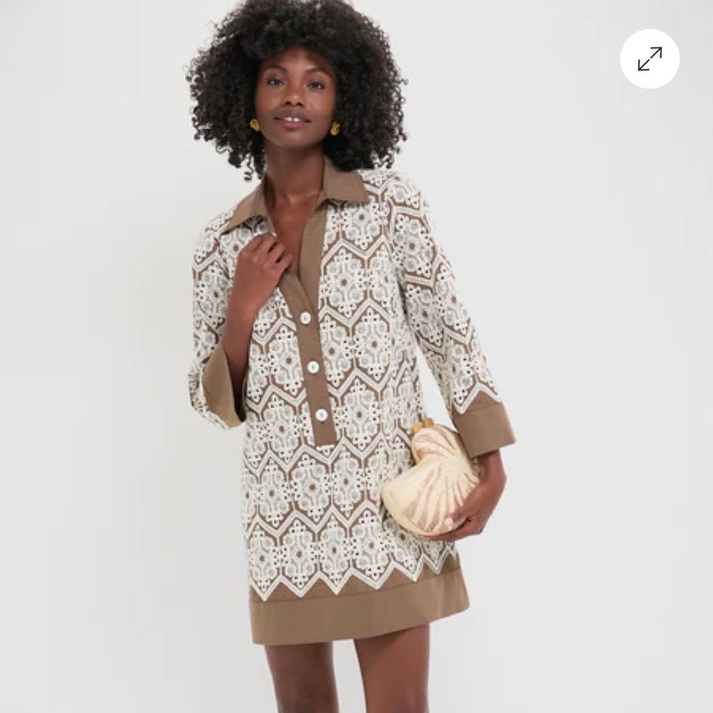 Tuckernuck Cream and Brown Lace-Overlay Mini Dress